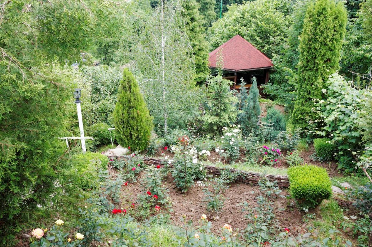 Stejeris 3* Braşov