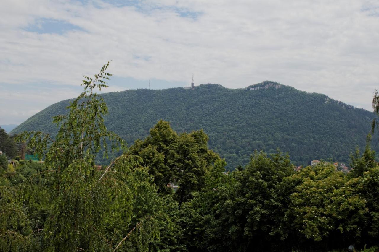 Stejeris 招待所 Braşov