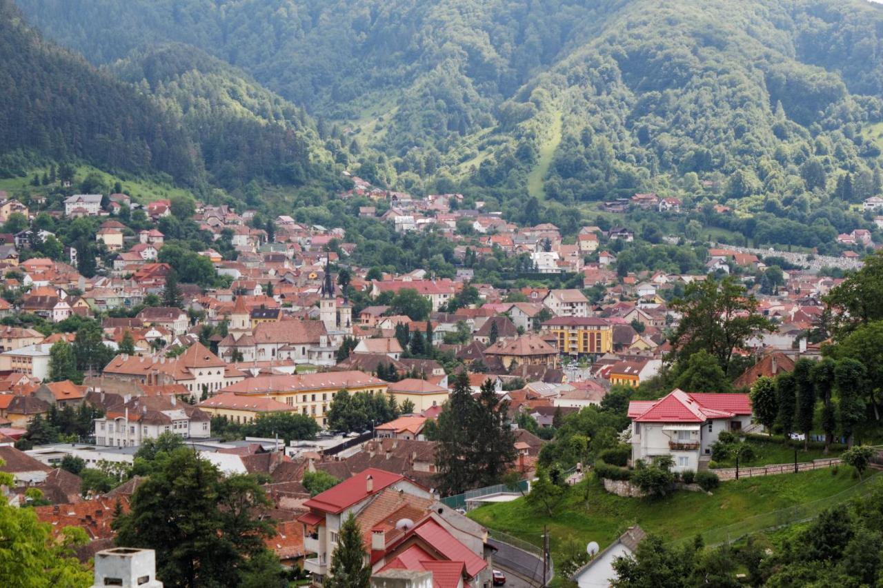 Stejeris 3* Brasov