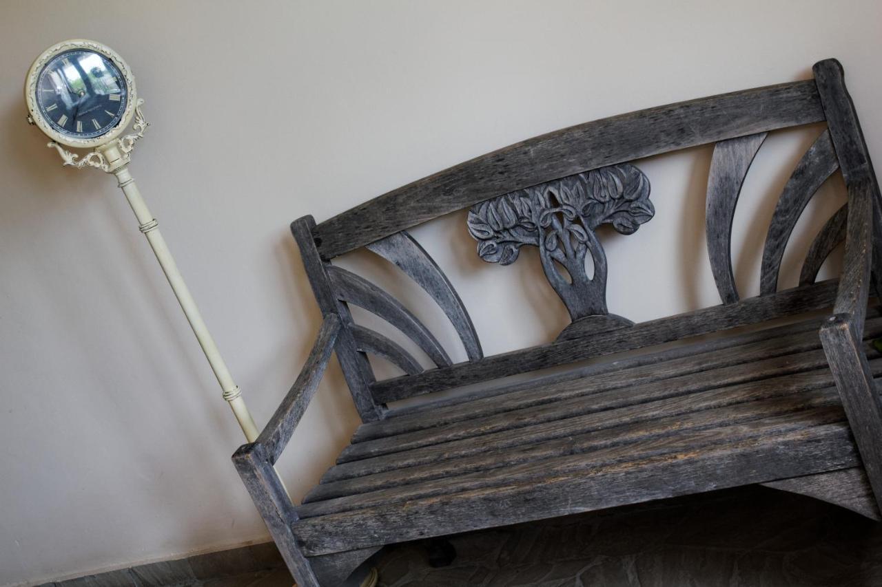 Stejeris Guest house Brasov
